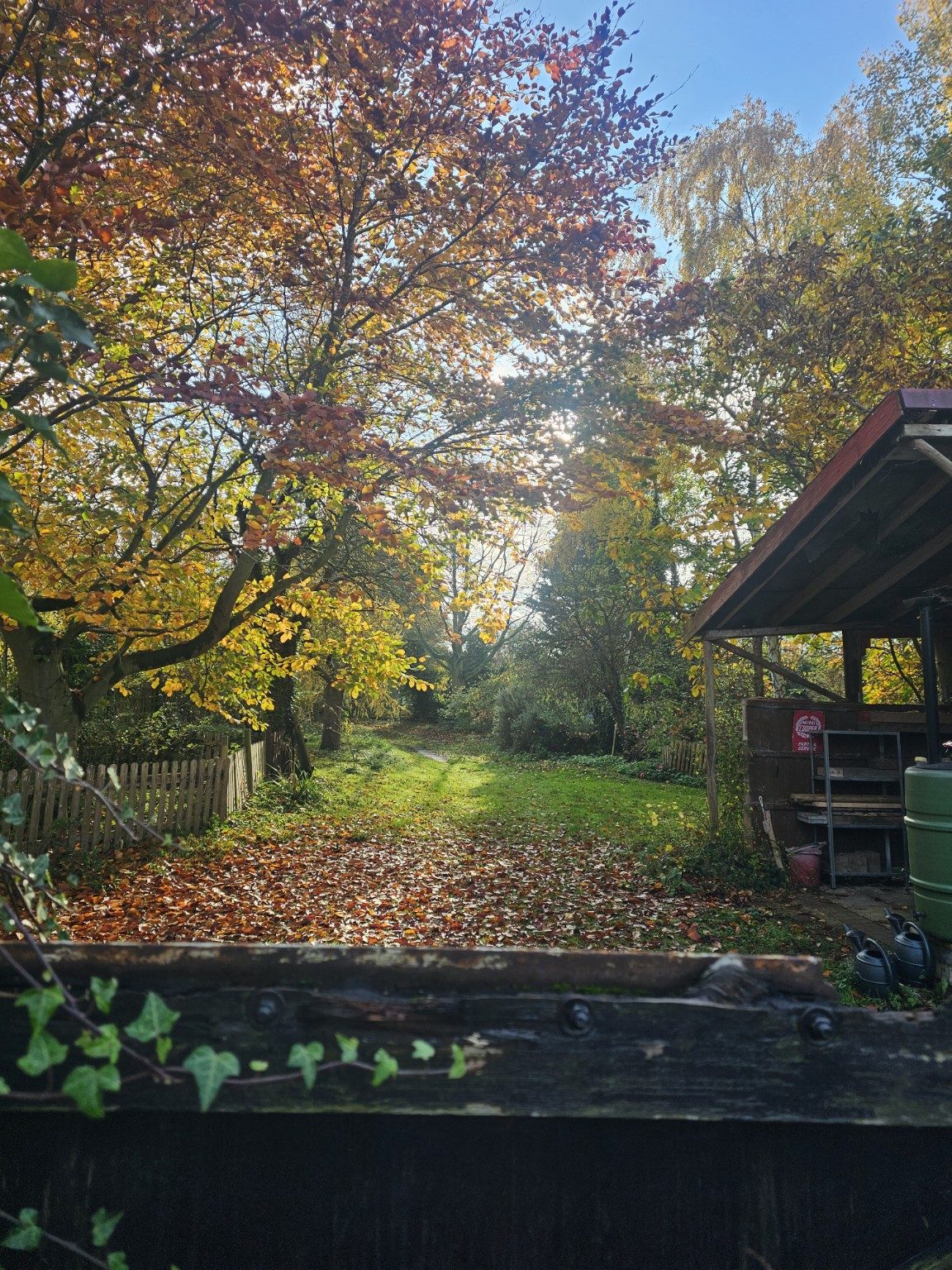 Yaffles Barn autumn garden